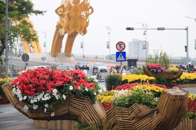 Bạn trẻ hào hứng, tạo dáng bên đường hoa Đà Nẵng - ảnh 15